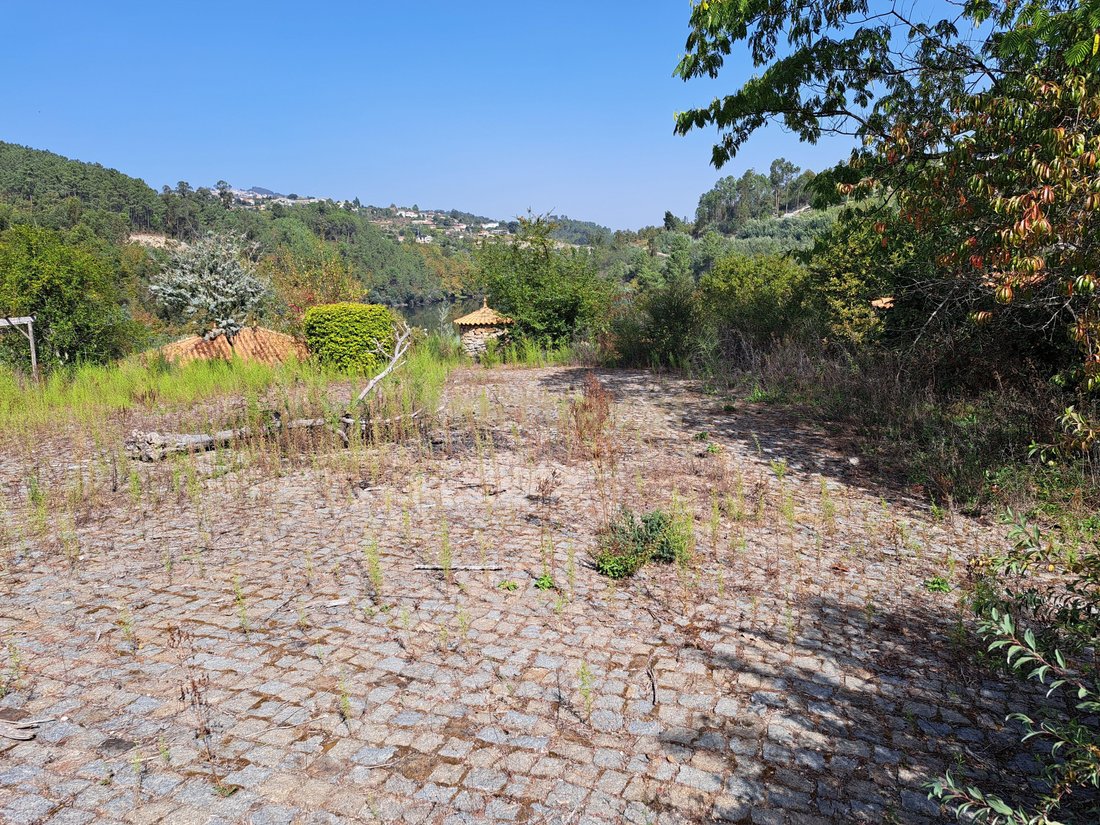 Farm Ranch in Marco, Porto District, Portugal 5 - 17488432