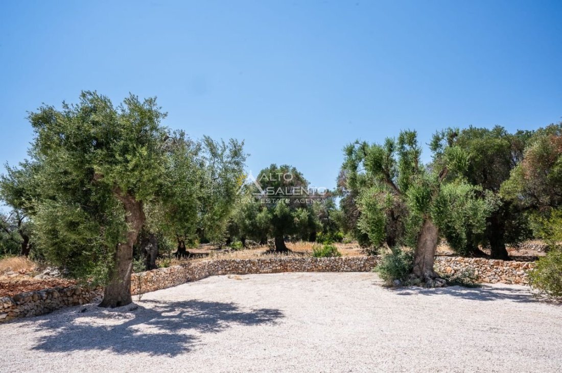 Villa in Carovigno, Apulia, Italy 1 - 17479755