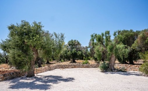 Villa in Center, Carovigno, Apulia 1