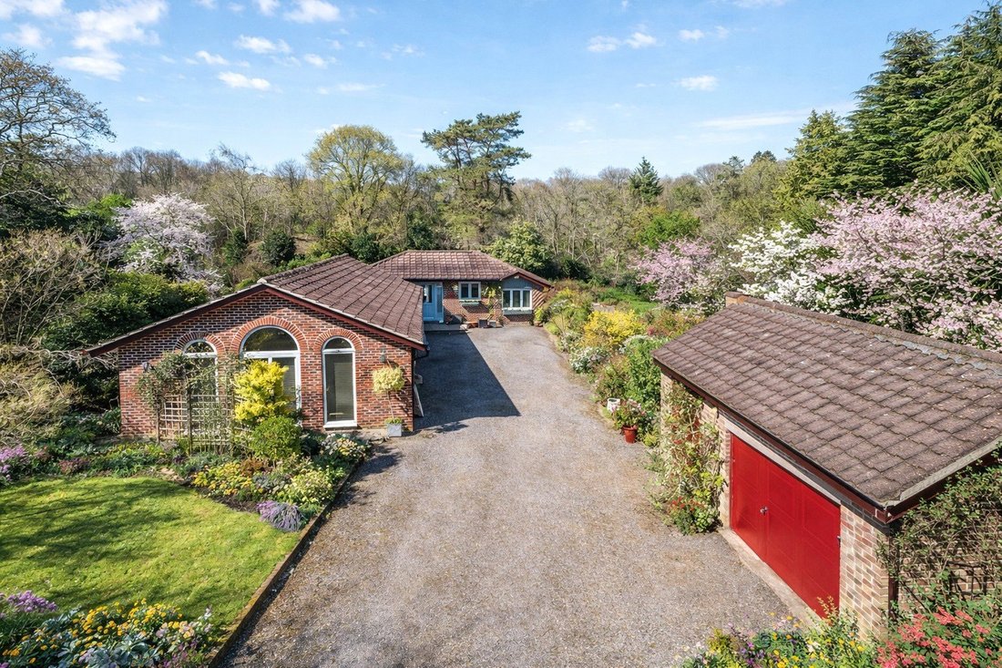 Bungalow in Liss, England 1 - 17484396