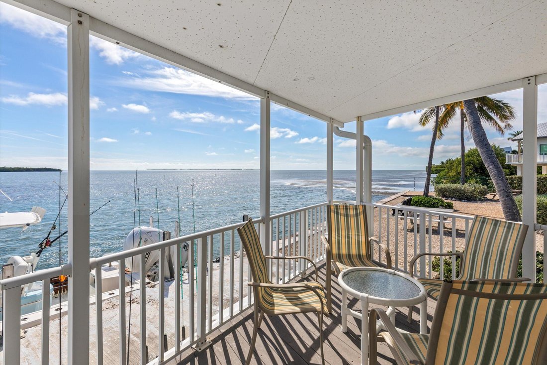 Big Pine Key, Florida, United States 1 - 17482261