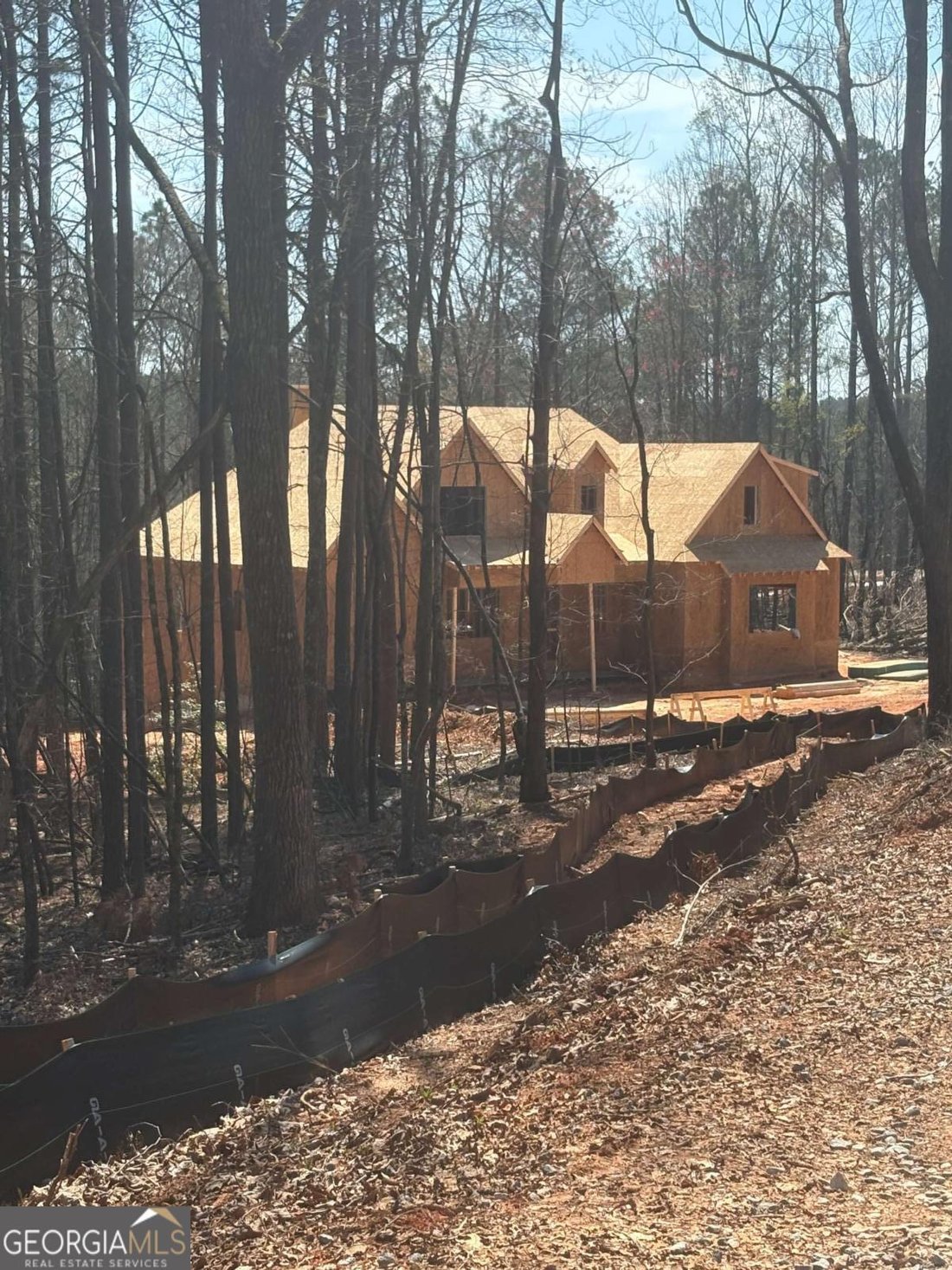 House in Ball Ground, Georgia, United States 2 - 17486691