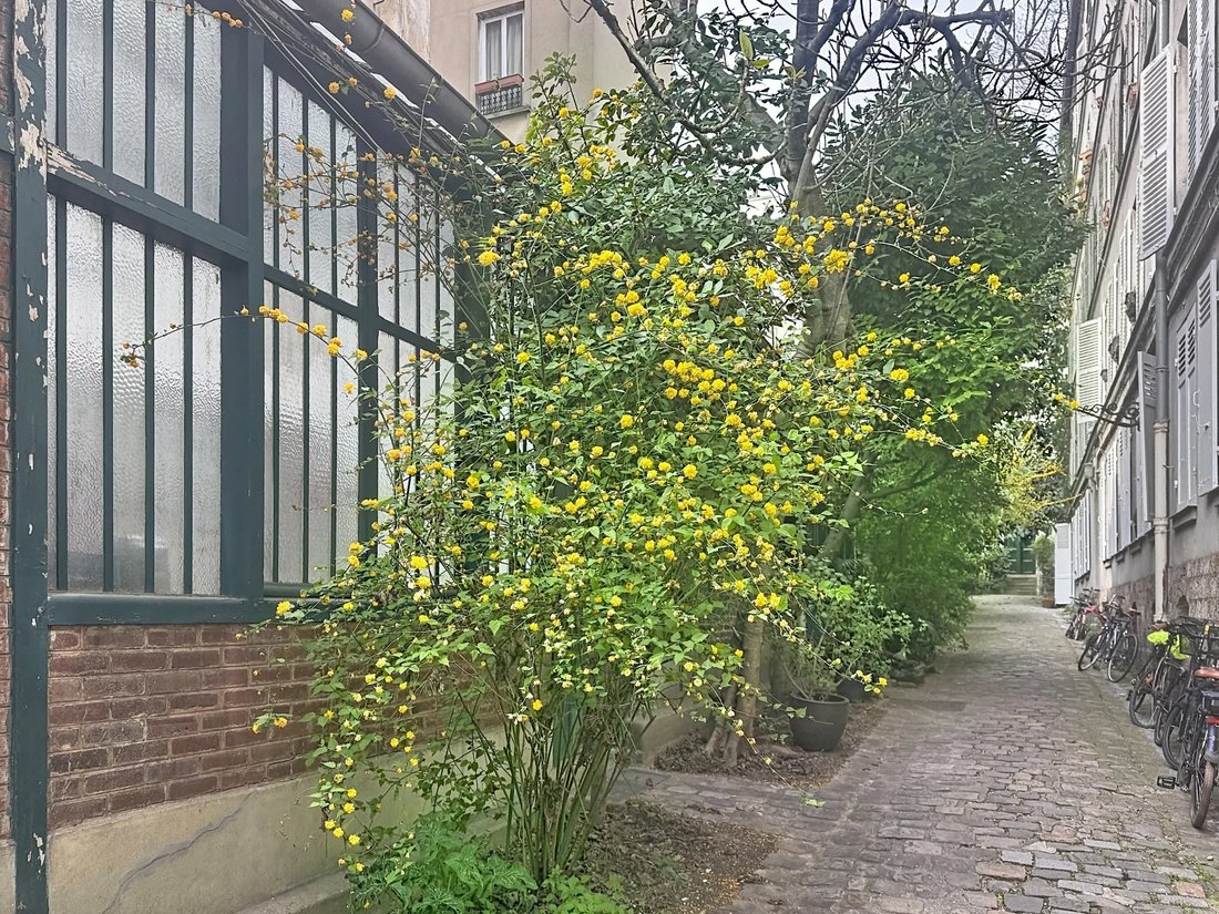 Apartment in Clichy-Trinité, Paris 9e Arrondissement, Paris 2 - 17482847