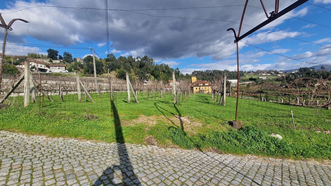 Farm Ranch in Vila Caiz, Porto District, Portugal 2 - 17488838