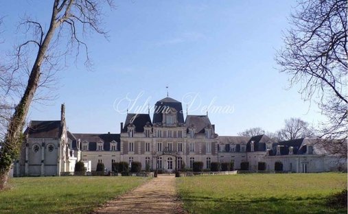Castle in Ecouflant, Pays de la Loire, France 1