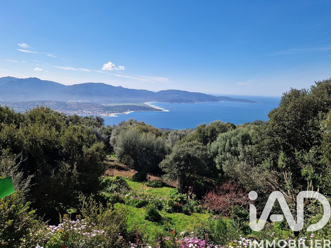 House in Olmeto, Corsica, France 1 - 17483625