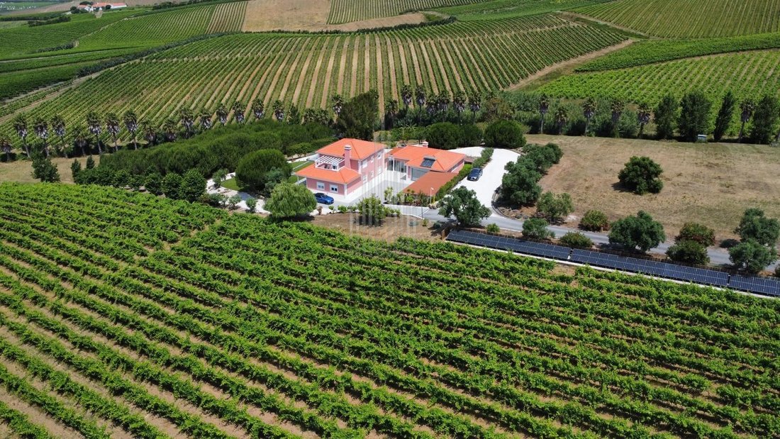 Finca in Ventosa, Lisbon, Portugal 1 - 17483396