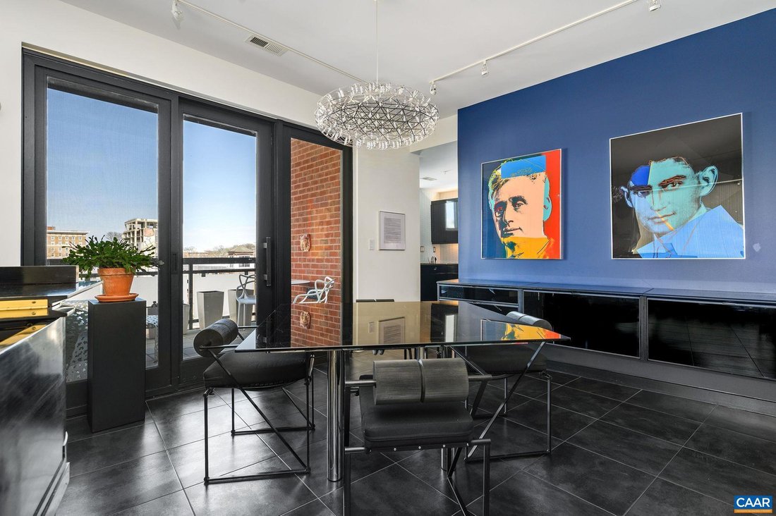 Condo in Charlottesville, Virginia, United States 5 - 17480765