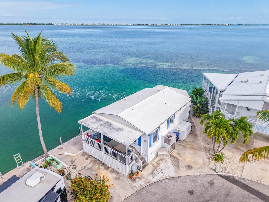 Big Pine Key, Florida, United States 1 - 17482333