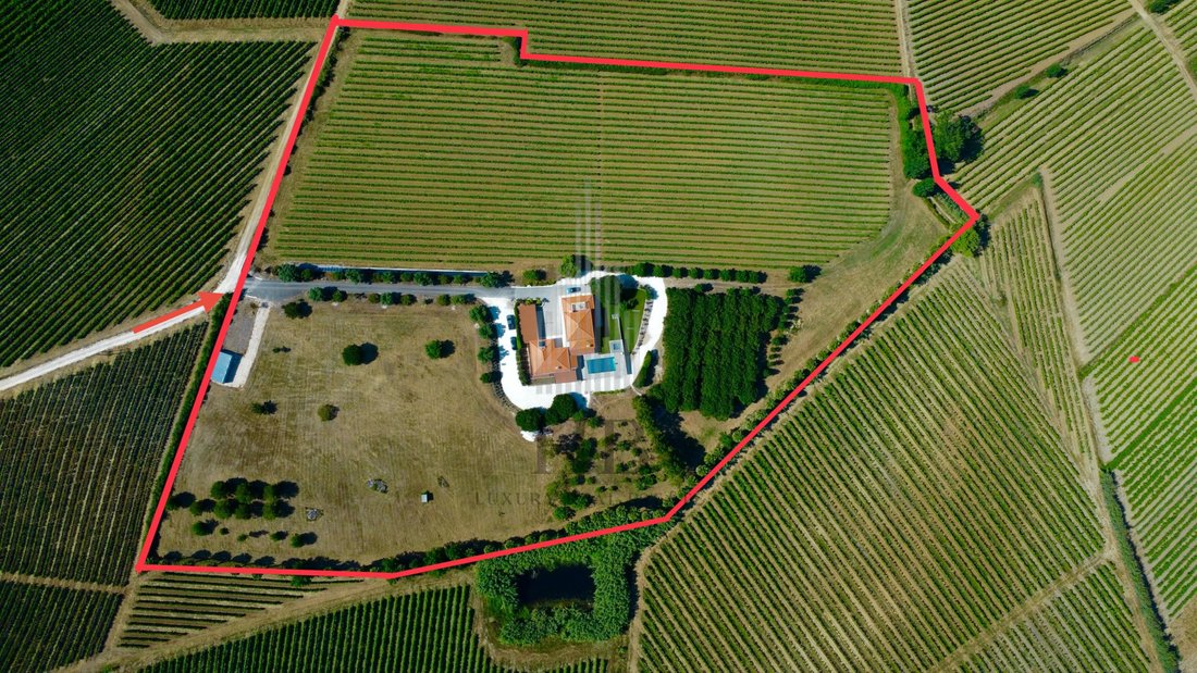 Finca in Ventosa, Lisbon, Portugal 2 - 17483396