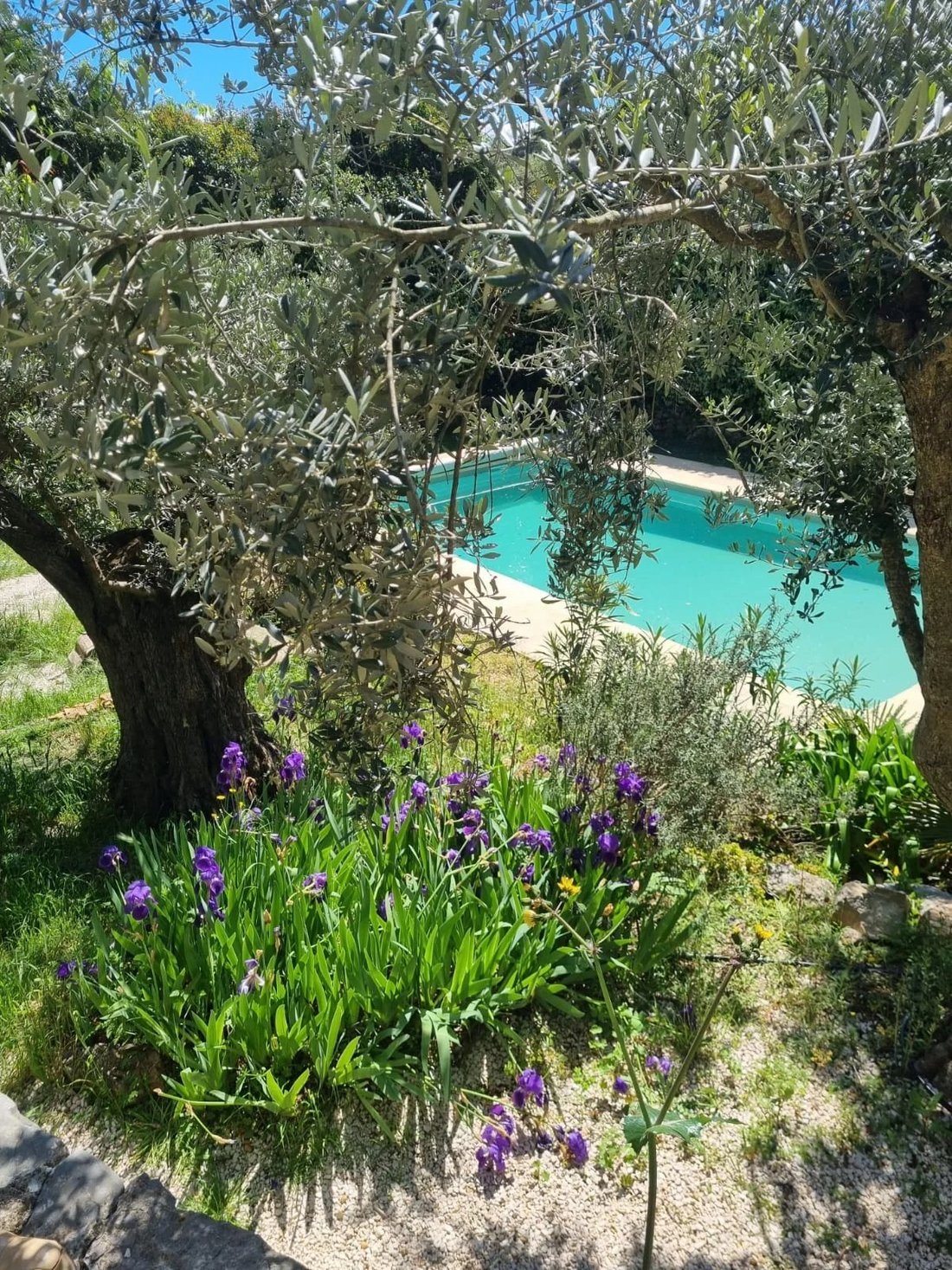 Villa in Taradeau, Provence-Alpes-Côte d'Azur, France 4 - 17482788