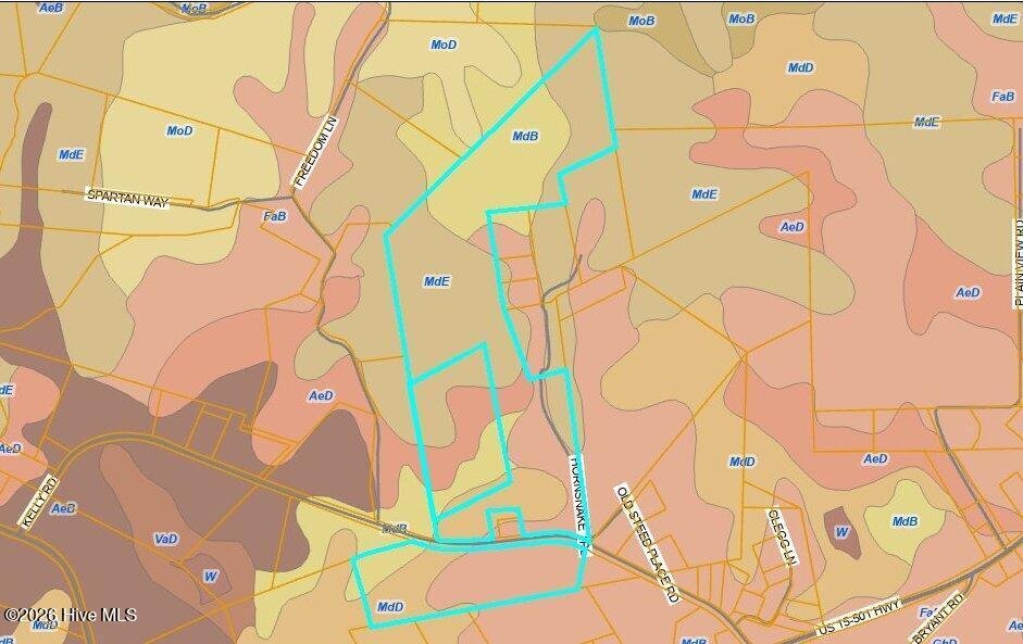 Land in Carthage, North Carolina, United States 2 - 17486661