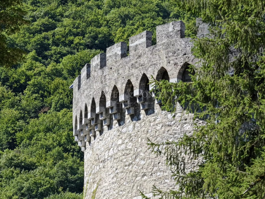 Castello a Saint-Pierre-d'Albigny, Auvergne-Rodano-Alpi, Francia 4 - 17482979