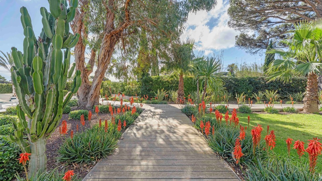 House in Ramatuelle, Provence-Alpes-Côte d'Azur, France 4 - 17488017