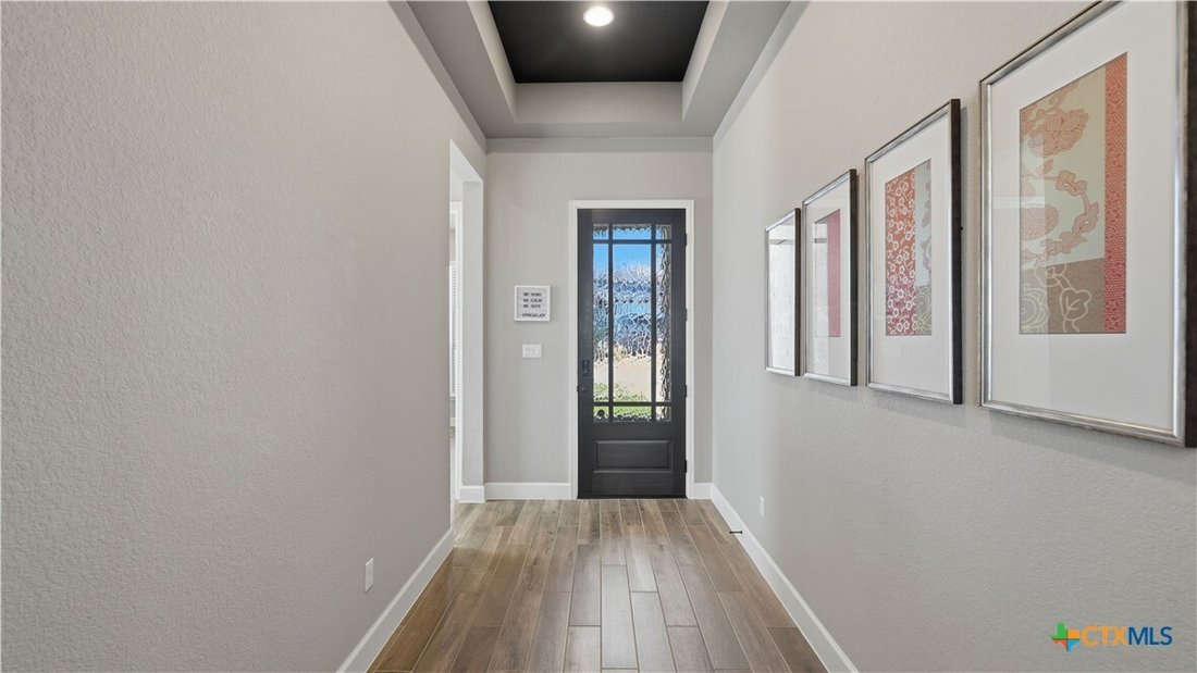 House in Buda, Texas, United States 4 - 17486437