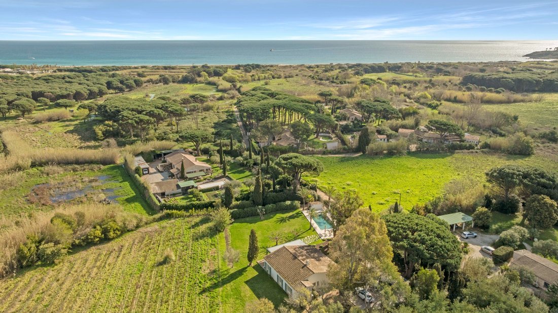 House in Ramatuelle, Provence-Alpes-Côte d'Azur, France 1 - 17488017