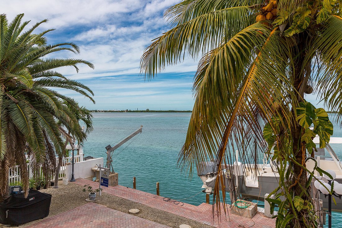 House in Duck Key, Florida, United States 5 - 17482334
