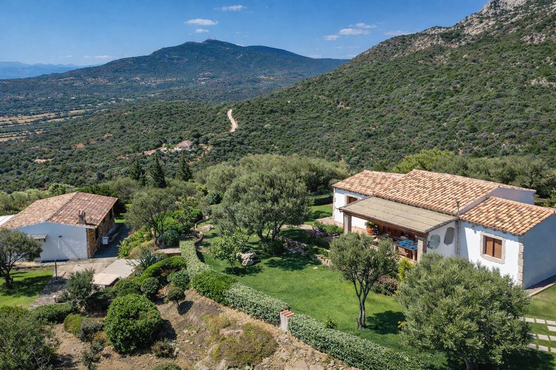 Villa in Porto Rotondo, Olbia, Sardinia 2 - 17488420