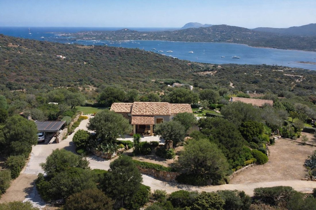 Villa in Porto Rotondo, Olbia, Sardinia 1 - 17488420