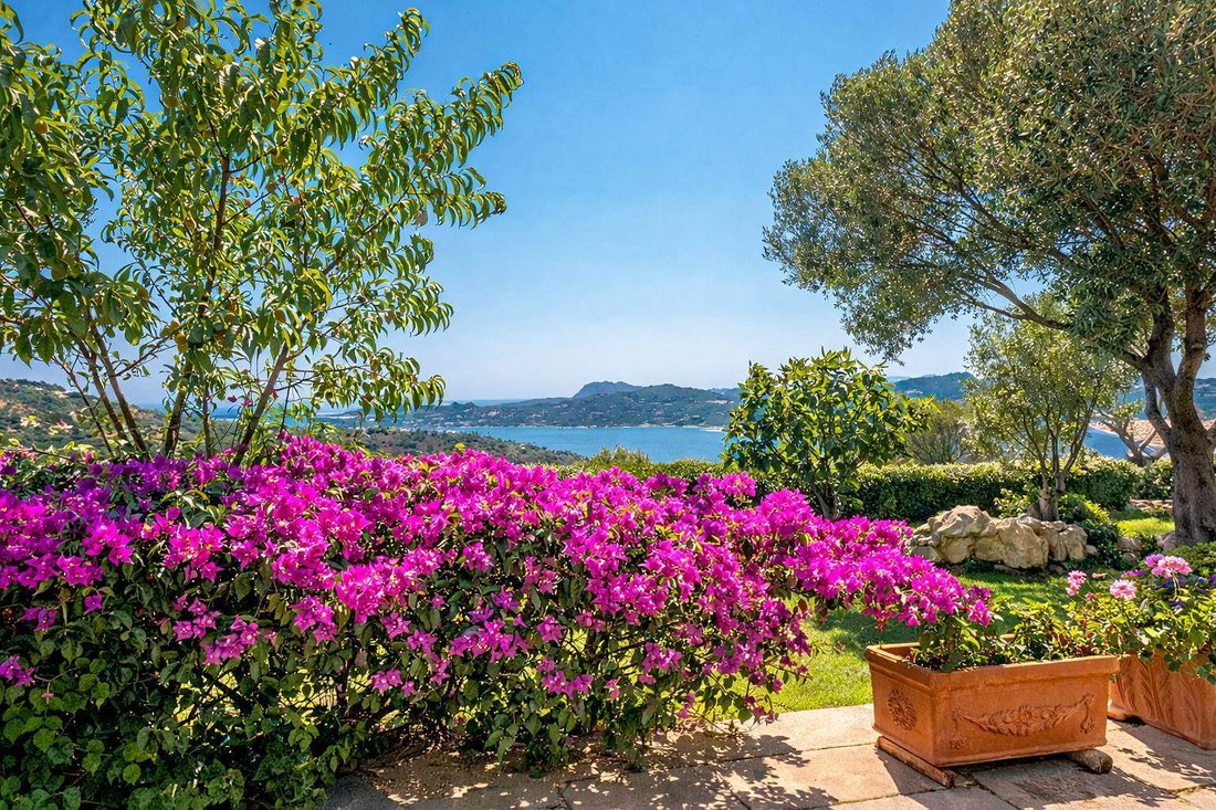 Villa in Porto Rotondo, Olbia, Sardinia 4 - 17488420
