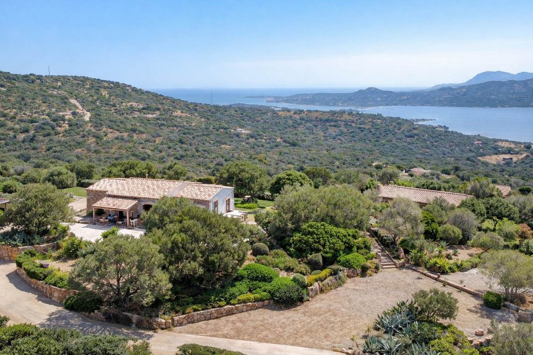 Villa in Porto Rotondo, Olbia, Sardinia 3 - 17488420