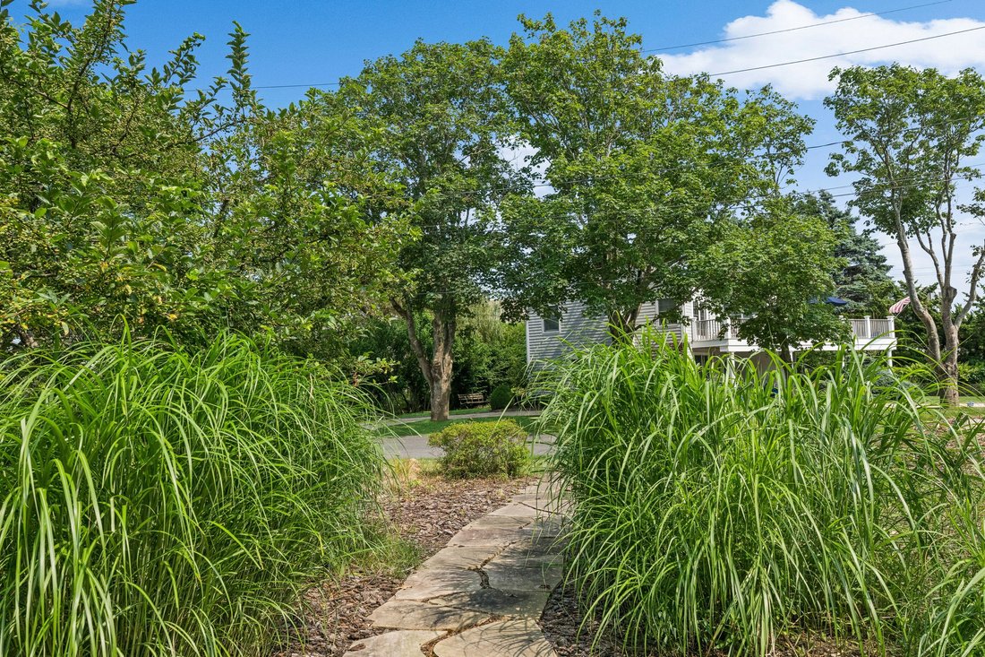 Montauk, New York, United States 3 - 17482578