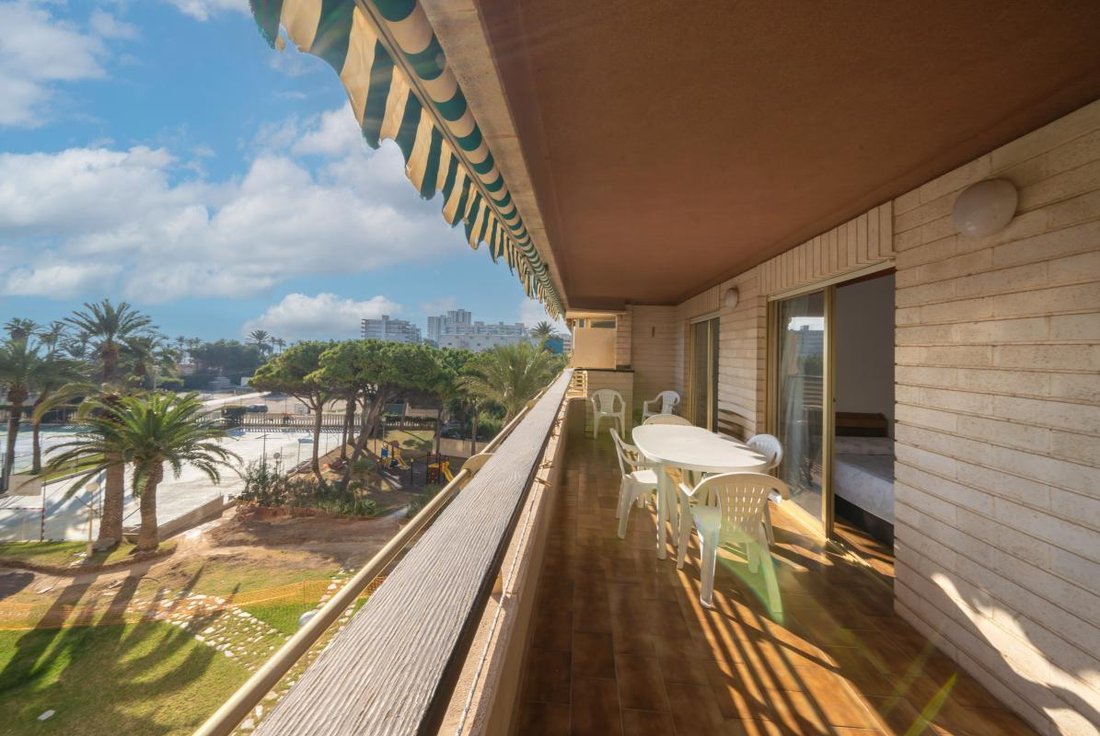 Apartment in el Campello, Valencian Community, Spain 3 - 17488068