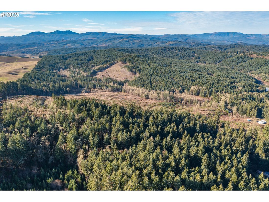 Land in Monmouth, Oregon, United States 2 - 15852832