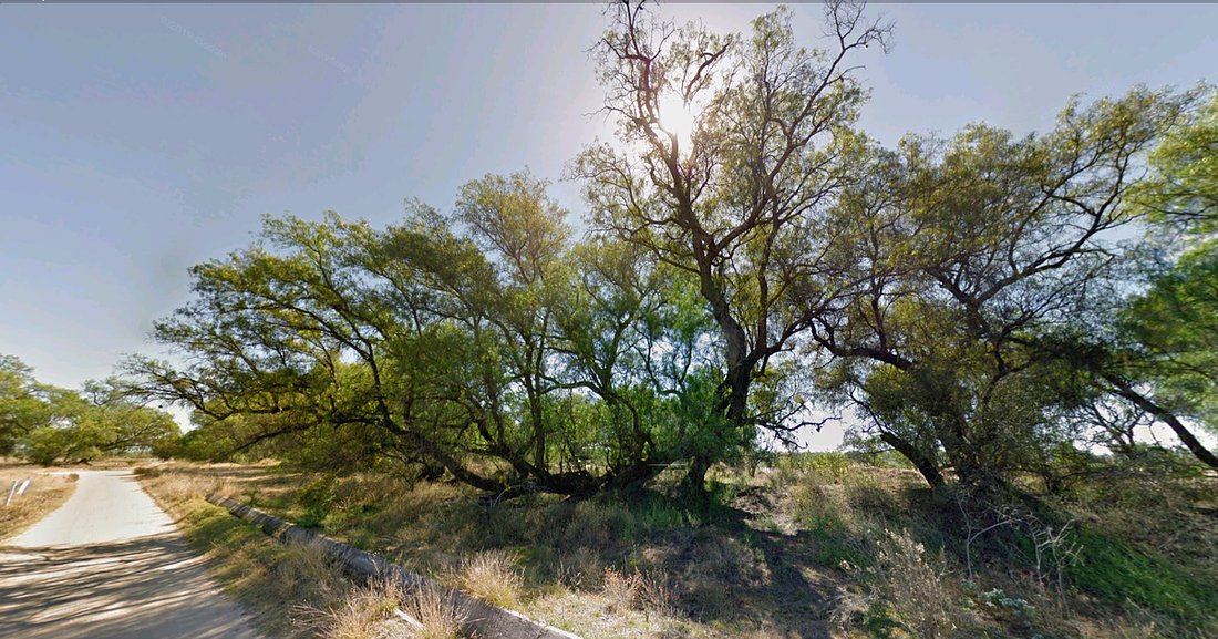 Land in Lagos de Moreno, Jalisco, Mexico 5 - 17488513