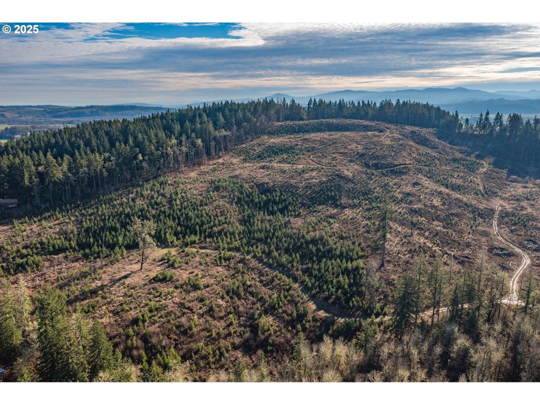Land in Monmouth, Oregon, United States 4 - 15852832