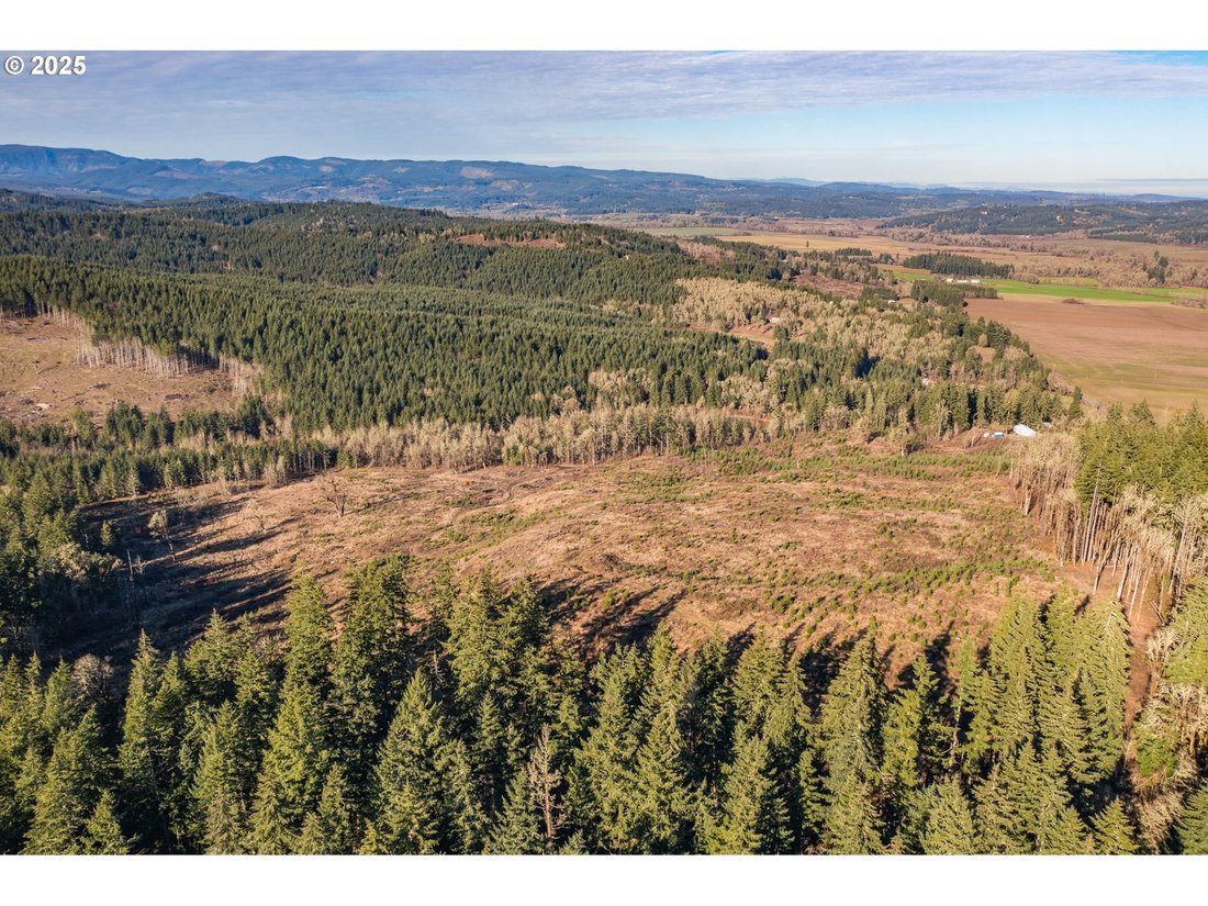 Land in Monmouth, Oregon, United States 3 - 15852832