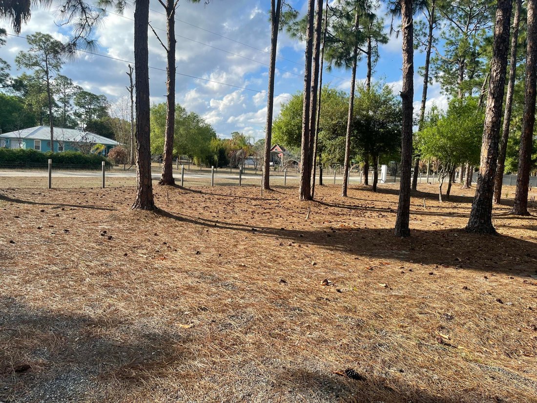 House in Clewiston, Florida, United States 4 - 17485404