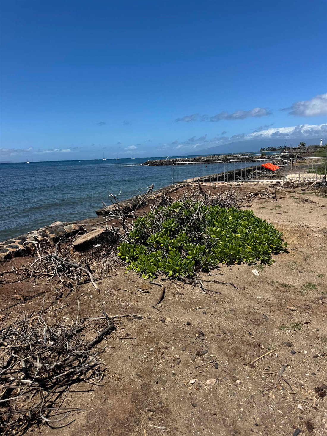Land in Lahaina, Hawaii, United States 5 - 17486825