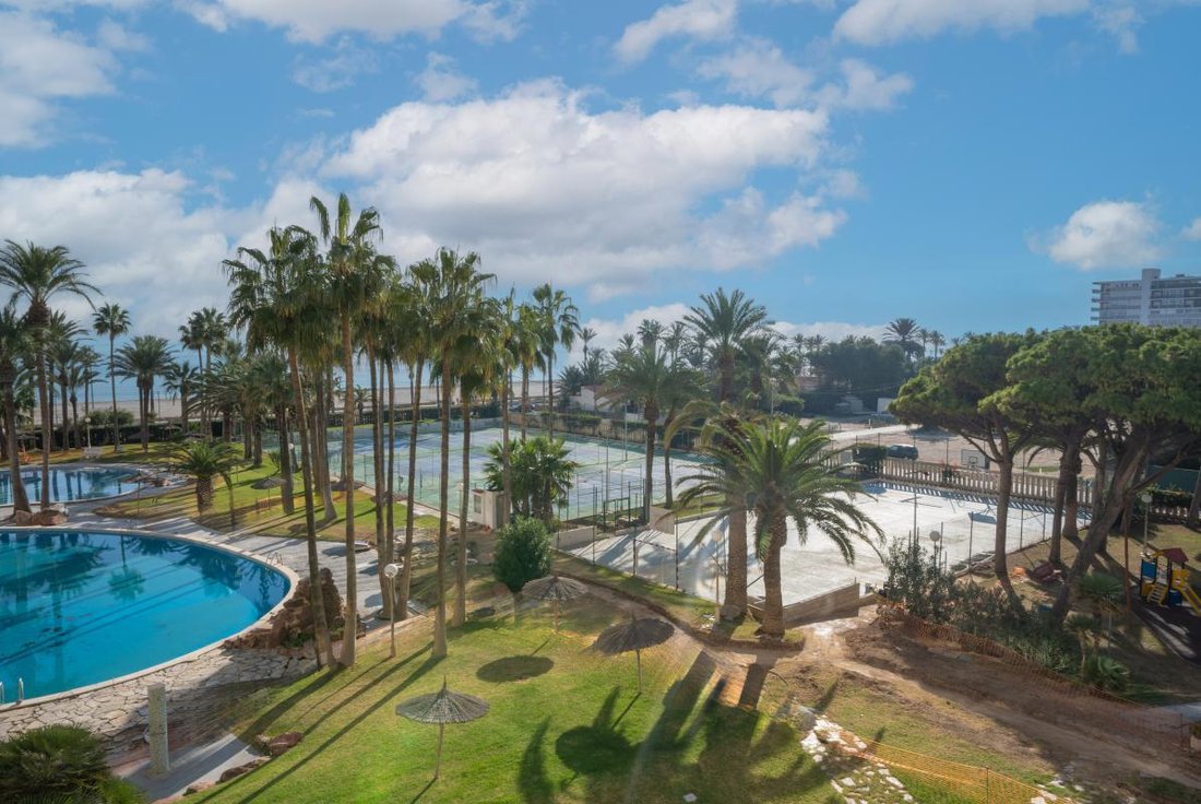 Apartment in el Campello, Valencian Community, Spain 1 - 17488068