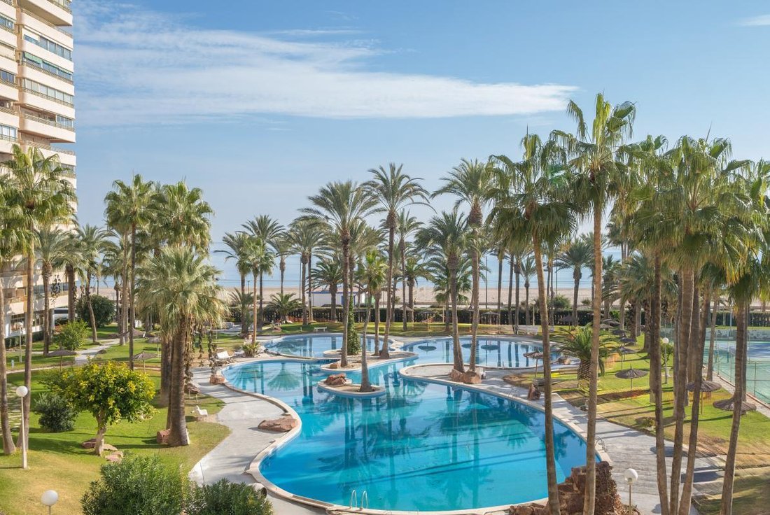 Apartment in el Campello, Valencian Community, Spain 5 - 17488068