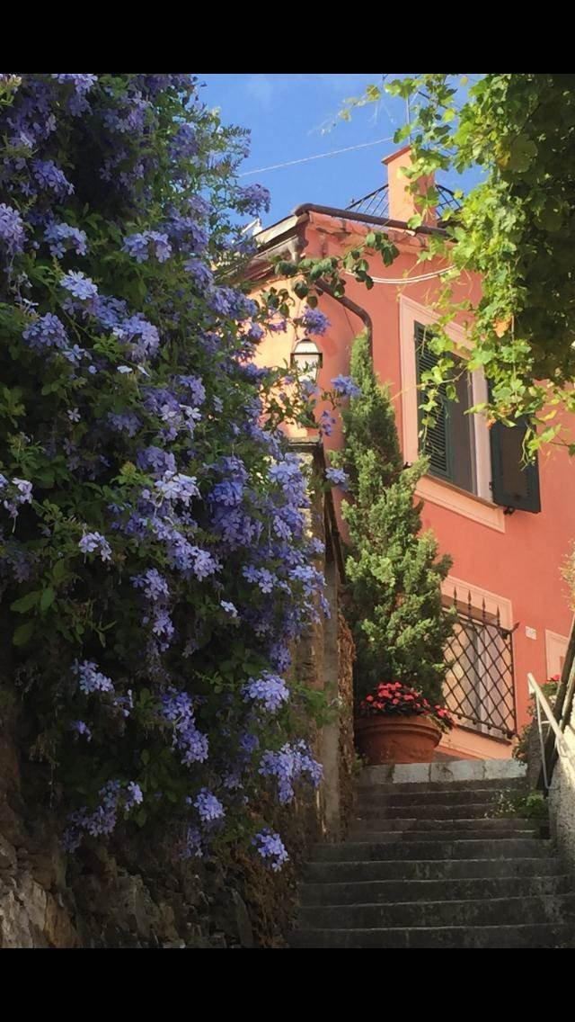 Villa in Sant'Andrea di Rovereto, Chiavari, Liguria 1 - 17488419
