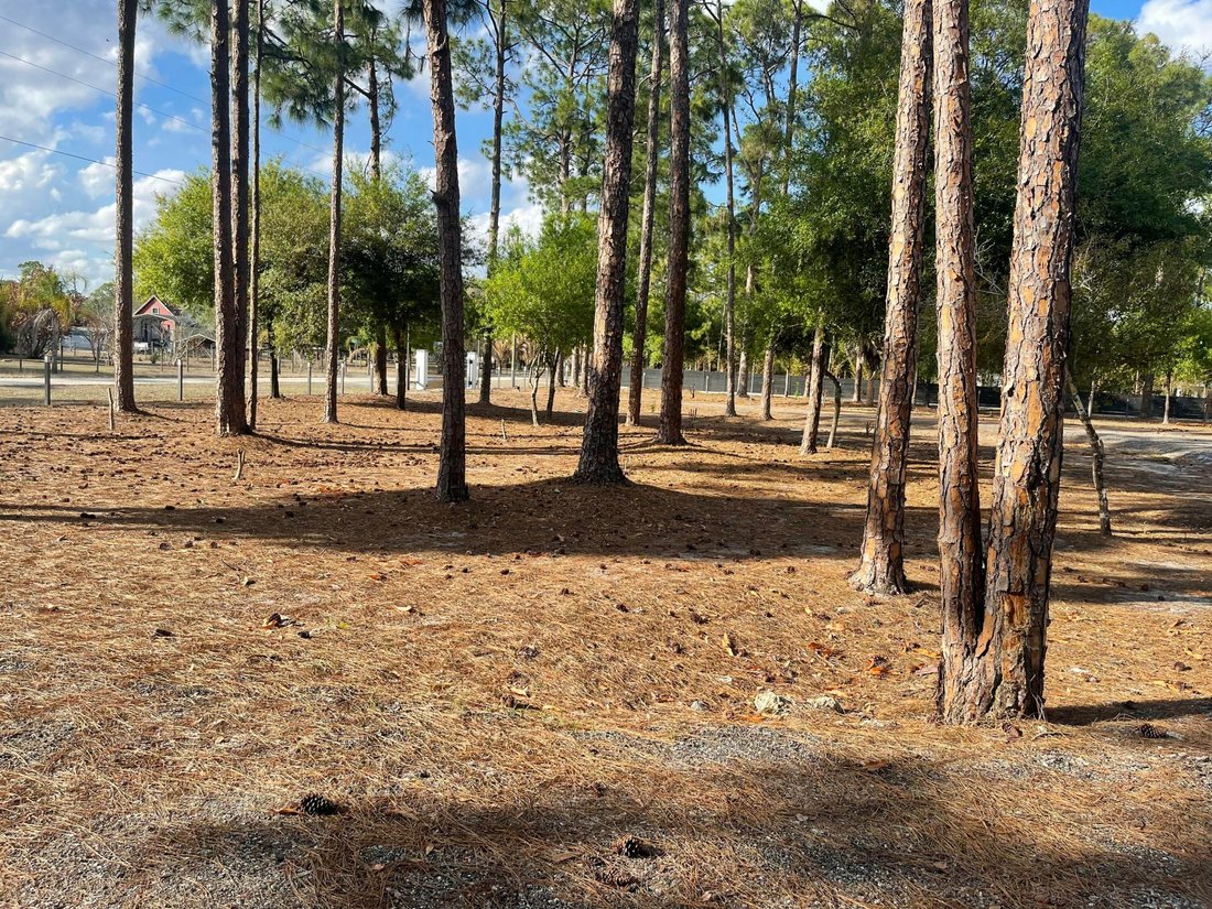 House in Clewiston, Florida, United States 5 - 17485404
