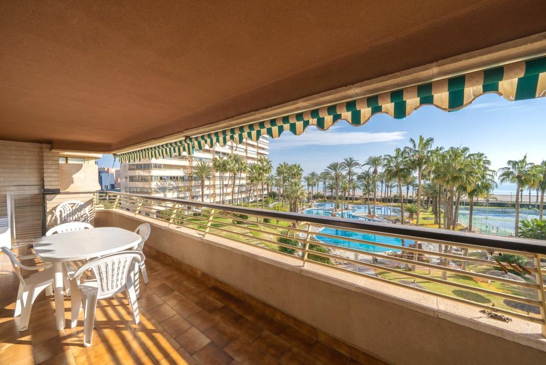 Apartment in el Campello, Valencian Community, Spain 4 - 17488068