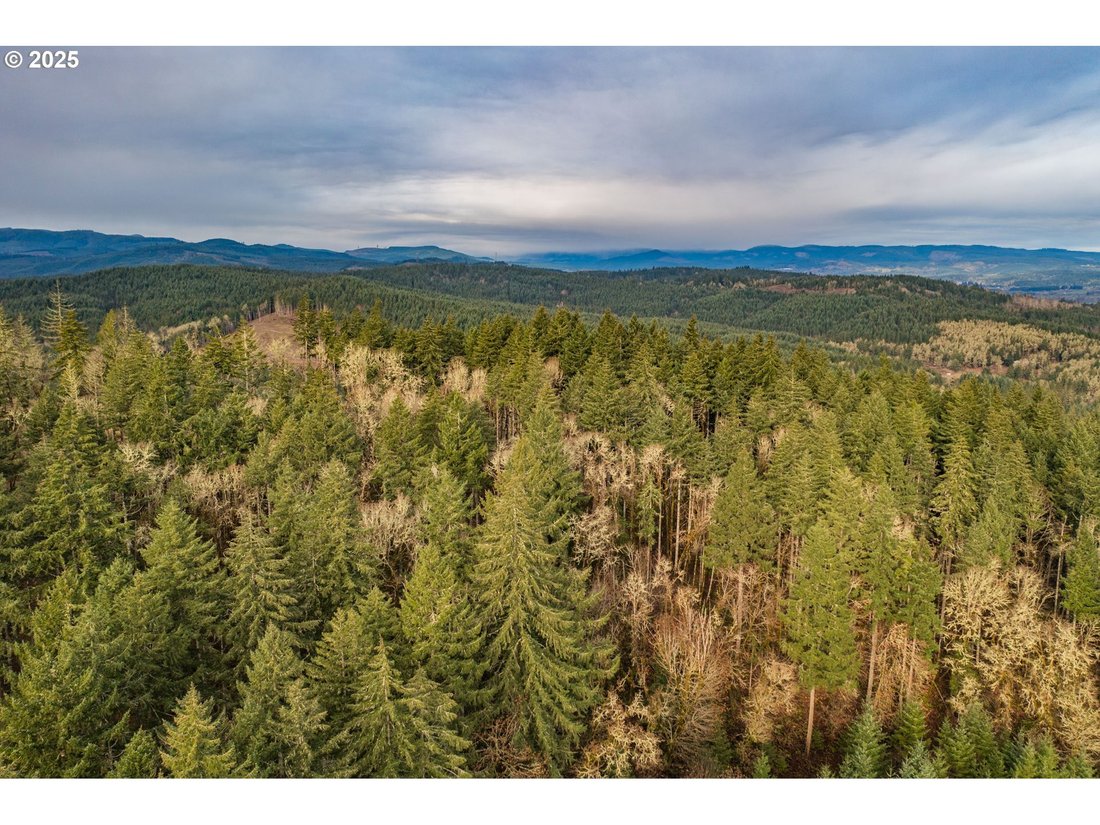 Land in Monmouth, Oregon, United States 5 - 15852832