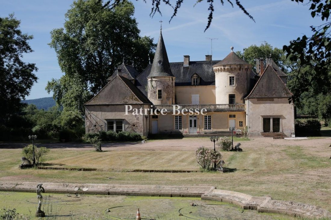 Castle in Chauffailles, Bourgogne – Franche-Comté, France 3 - 14069915