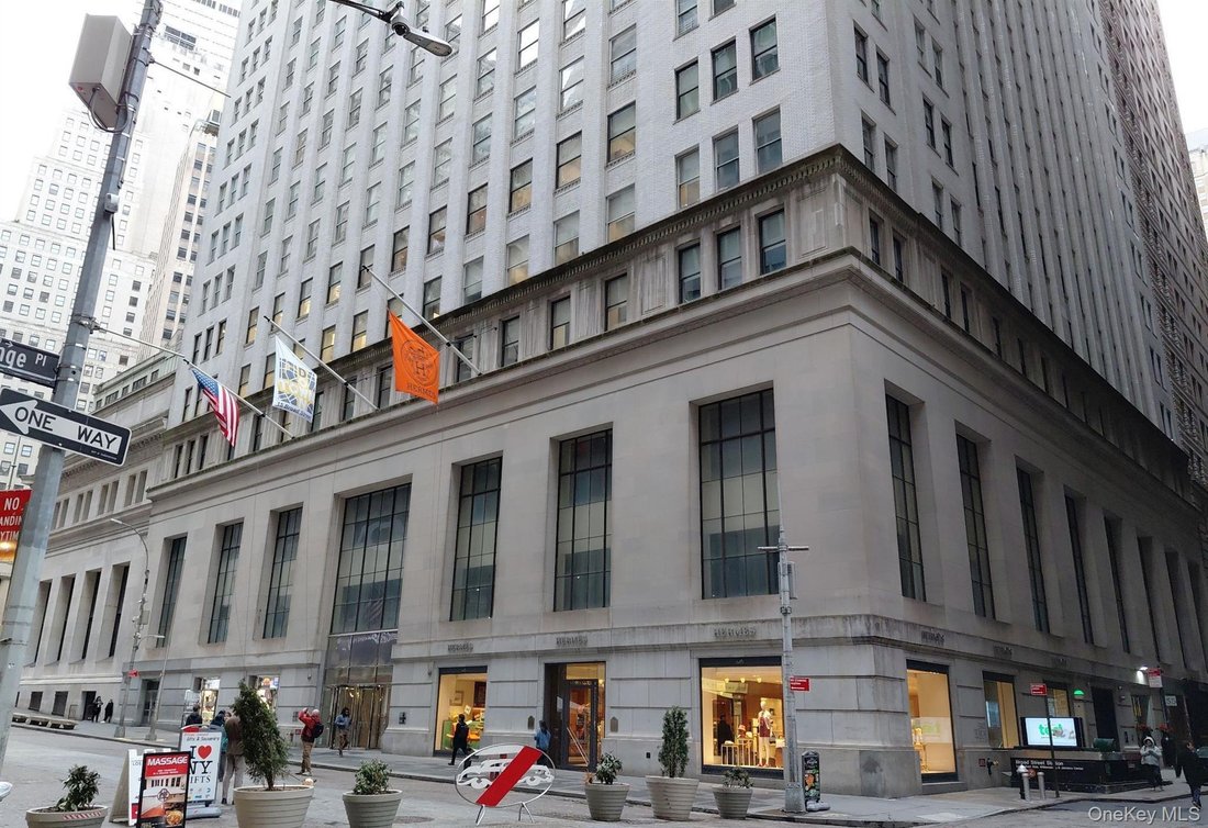 Condo in New York, New York, United States 1 - 17307798