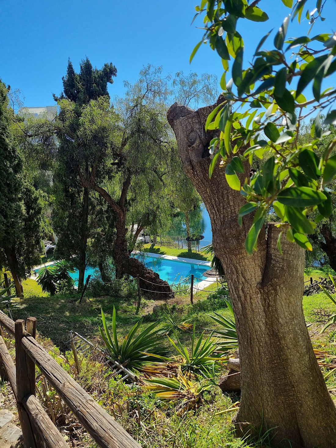 Apartment in Benahavis, Andalusia, Spain 5 - 17490068