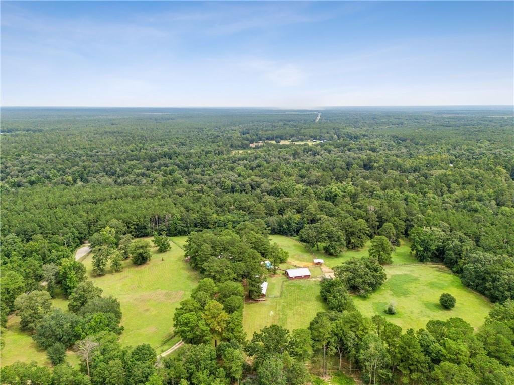 House in Folsom, Louisiana, United States 4 - 17486191