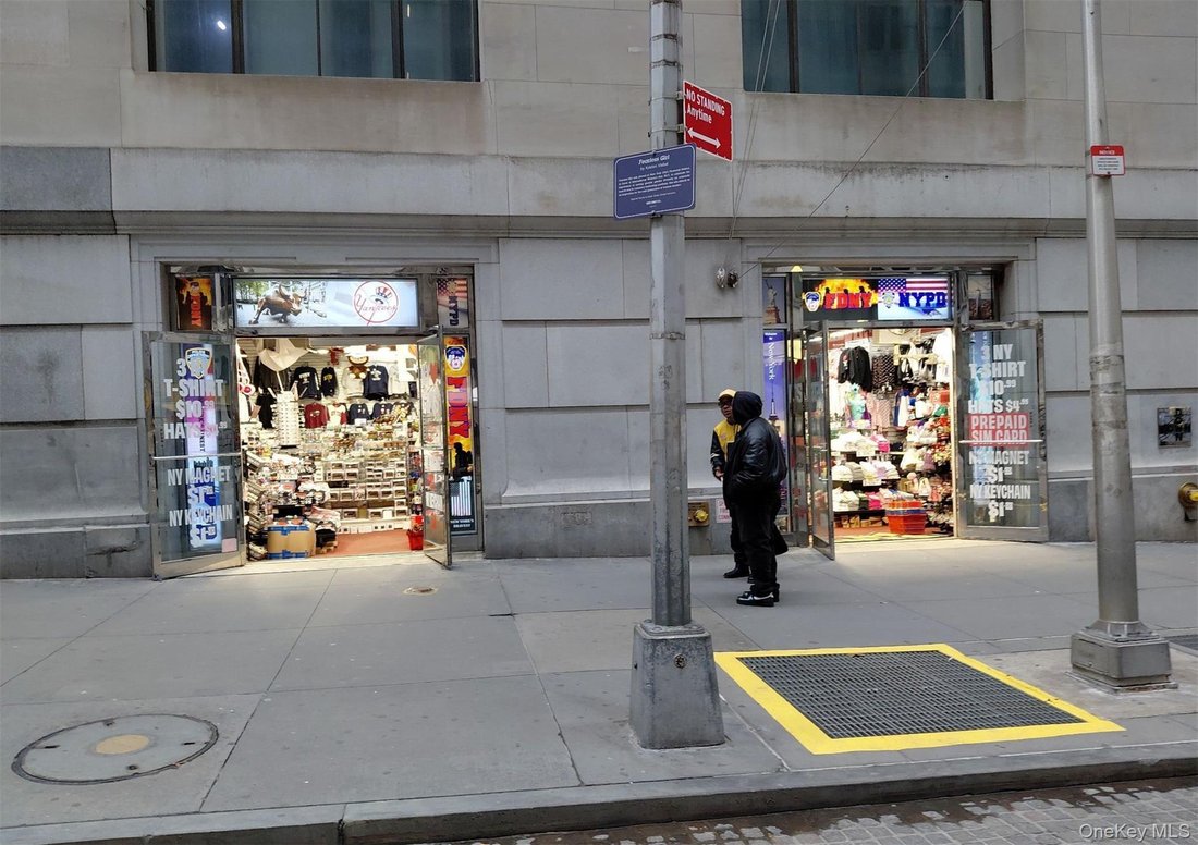 Condo in New York, New York, United States 4 - 17307798