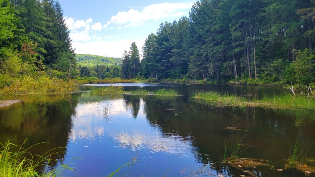 Land in Mandeville, Québec, Kanada 2 - 17488255