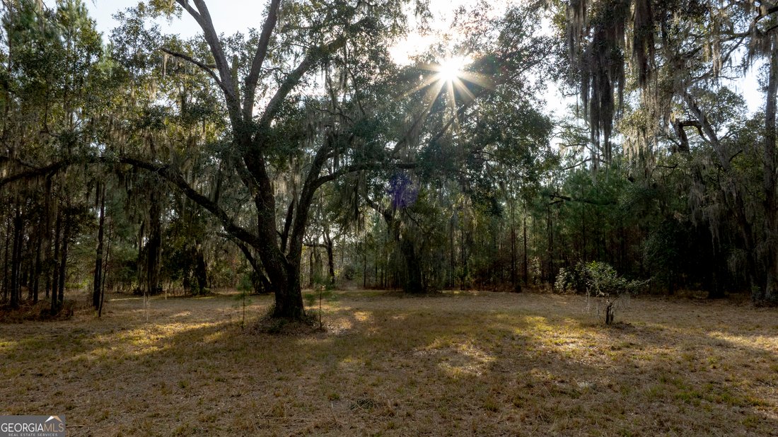 Land in Fleming, Georgia, United States 5 - 17486039