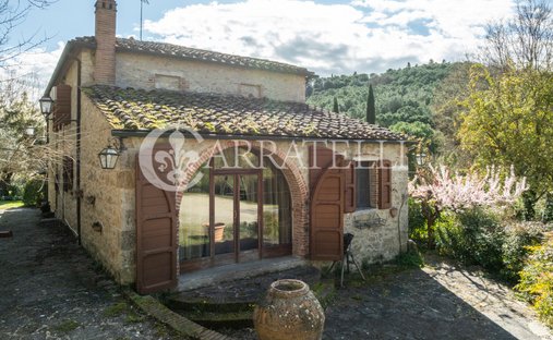 Azienda agricola a Asciano, Toscana, Italia 1