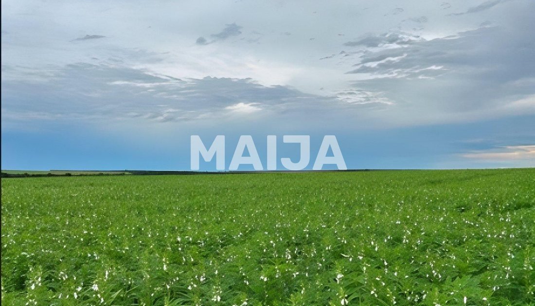 Land in Confresa, Alta Floresta, Brazil 1 - 17486720