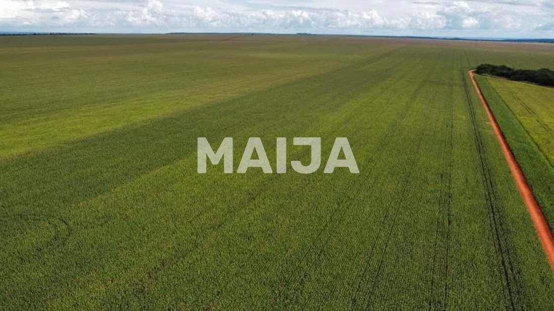 Land in Confresa, Alta Floresta, Brazil 3 - 17486720