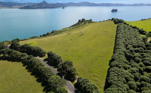 Land in Hahei, Waikato, New Zealand 1